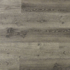 Picture of Montserrat - Romulus Burnished Fossil