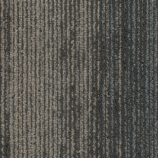 Picture of Patcraft - Color Filter 9 x 36 Ambient