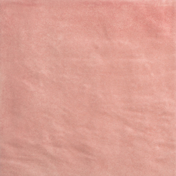Picture of Emser Tile - Passion 9 x 9 Matte Rosa
