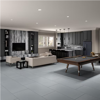 Picture of Daltile - Cohesion 24 x 48 Grey Matte