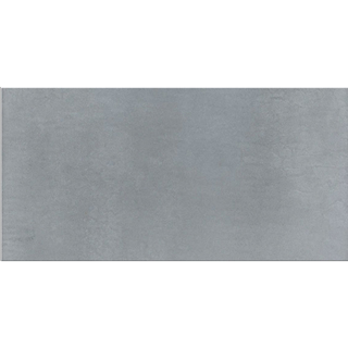 Picture of Daltile - Cohesion 24 x 48 Grey Polished