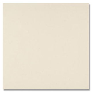 Picture of Daltile - Exhibition Cement Visual 24 x 48 Stark White