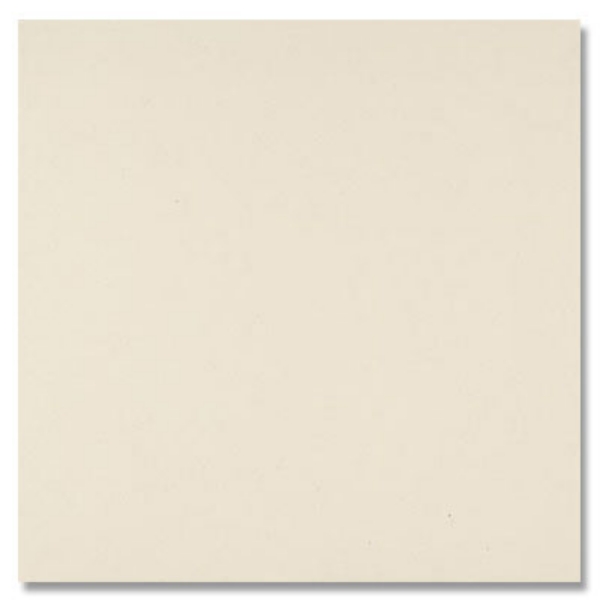 Picture of Daltile - Exhibition Cement Visual 24 x 48 Stark White