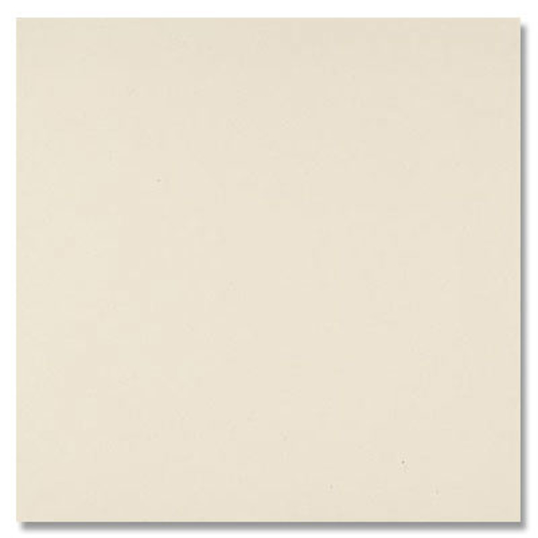 Picture of Daltile - Exhibition Cement Visual 24 x 24 Textured Stark White
