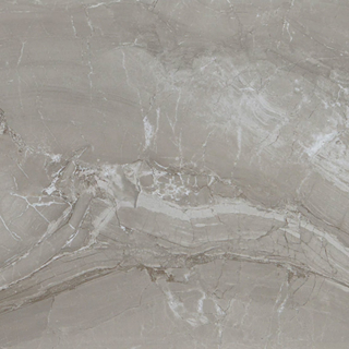 Picture of Daltile - Famed 24 x 24 Matte Fortune