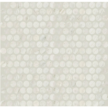 Picture of Daltile - Famed Penny Round Matte Mosaic Iconic
