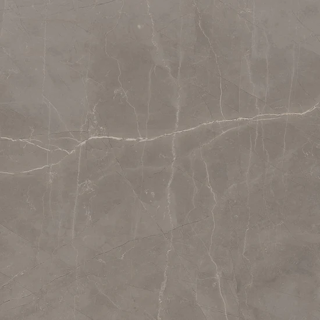 Picture of Milestone - Luxury 24 x 24 Matte 8mm Amani Grey