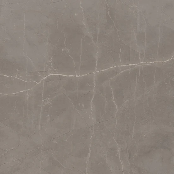 Picture of Milestone - Luxury 24 x 24 Matte 8mm Amani Grey