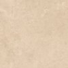 Picture of Milestone - Luxury 24 x 24 Matte 8mm Marfil