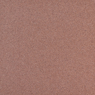 Picture of Daltile - Harmonist 12 x 12 Haven