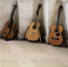 Picture of Daltile - Harmonist 12 x 24 Poise