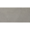 Picture of Daltile - Indoterra 12 x 24 Trail