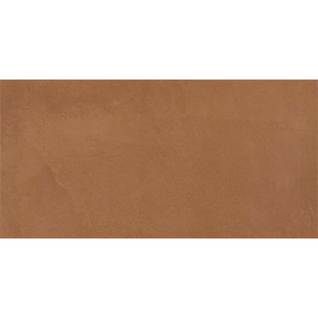 Picture of Daltile - Indoterra 12 x 24 Brick