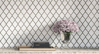 Picture of Daltile - Lavaliere Chain Link Carrara White Antique Mirror
