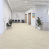 Picture of Daltile - Pines Terrace 8mil Birch