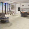 Picture of Daltile - Pines Terrace 8mil Birch