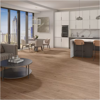 Picture of Daltile - Pines Terrace 20mil Ginger