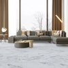 Picture of Market Place - XL Rigid ABA 12 x 24 Carrara Marble