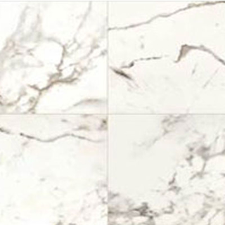 Picture of Daltile - Marble Attache 24 x 24 Polished Calacatta