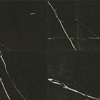 Picture of Daltile - Marble Attache 24 x 24 Polished Nero