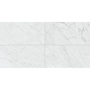 Picture of Daltile - Marble Attache Lavish 24 x 48 Matte Diamond Carrara