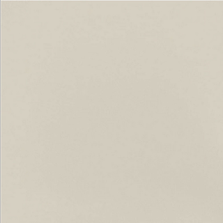Picture of Daltile - Median 24 x 24 Beige Textured