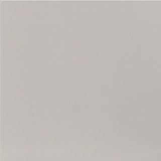 Picture of Daltile - Median 24 x 24 Light Gray Polished