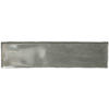 Picture of Daltile - Mesmerist 3 x 12 Charm