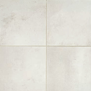Picture of Daltile - Modern Hearth 12 x 12 White Ash