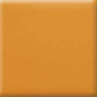 Picture of Daltile - Natural Hues 2 x 8 Dijon