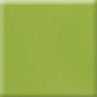 Picture of Daltile - Natural Hues 2 x 8 Kiwi