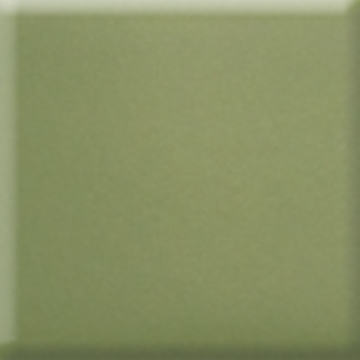 Picture of Daltile - Natural Hues 4 x 8 Artichoke