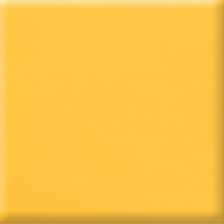 Picture of Daltile - Natural Hues 8 x 8 Daisy