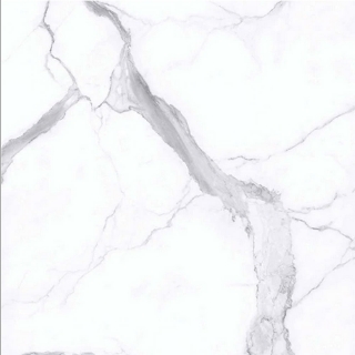 Picture of Daltile - Marble 18 x 18 Honed Statuario