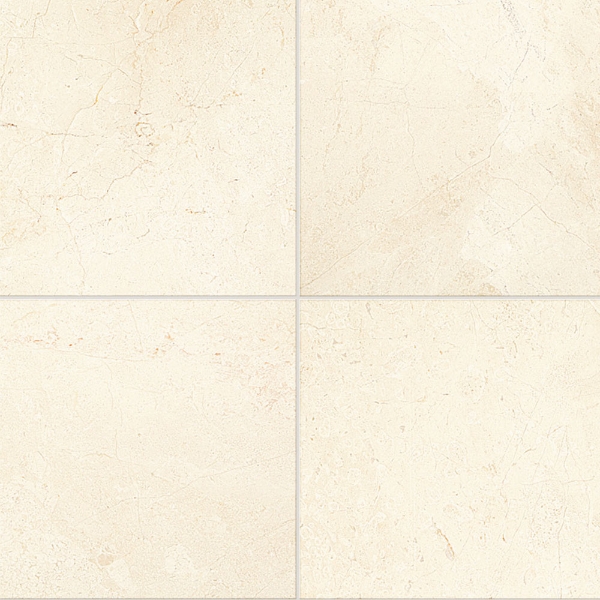 Picture of Daltile - Marble 24 x 24 Polished Latte