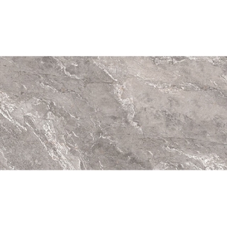 Picture of Daltile - Perpetuo 12 x 24 Matte Eternal Grey