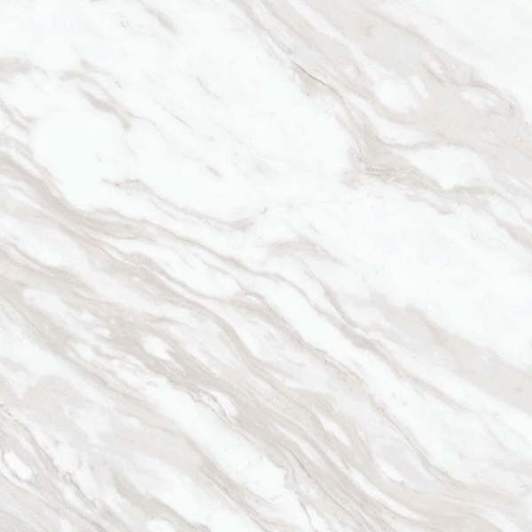 Picture of Daltile - Perpetuo 24 x 24 Matte Timeless White