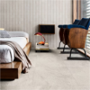 Picture of Daltile - Delegate 12 x 24 Off White