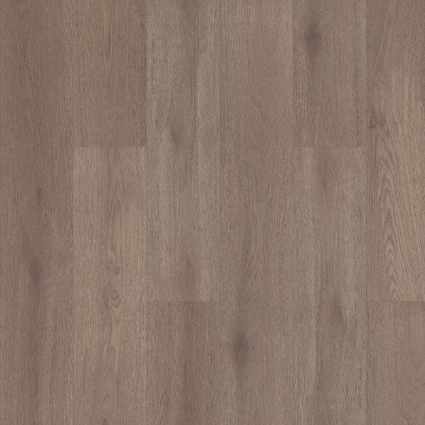 Picture of Shaw Floors - Prodigy HDR Plus Cobblestone