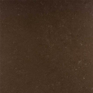 Picture of Daltile - Unity 24 x 24 Polished Coffee
