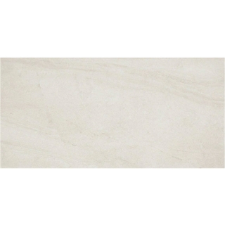 Picture of Daltile - Wanderwise 12 x 24 Swan