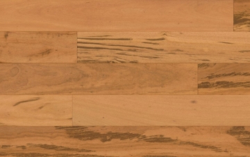 Picture of IndusParquet - Largo Wirebrush Engineered 7 3/4 Tigerwood Natural