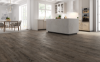 Picture of LX Hausys - PRESTG Plank Click Desert Palm
