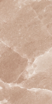 Picture of Happy Floors - Salt Stone 12 x 24 Terra