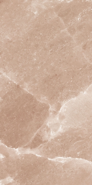 Picture of Happy Floors - Salt Stone 12 x 24 Terra