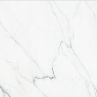 Picture of Happy Floors - Calacatta 24 x 24 Paver White
