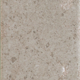 Picture of Happy Floors - Vibrant 6 x 6 Cream