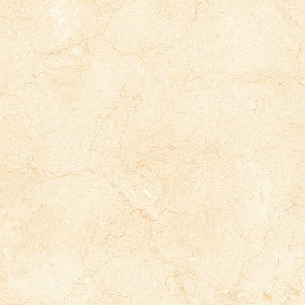 Picture of Tesoro - Bejha 12 x 24 Fiorito Matte