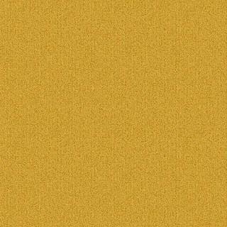 Picture of Patcraft - Color Choice Citrus