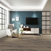 Picture of Raskin - Gencore Originals 9 x 60 Salem